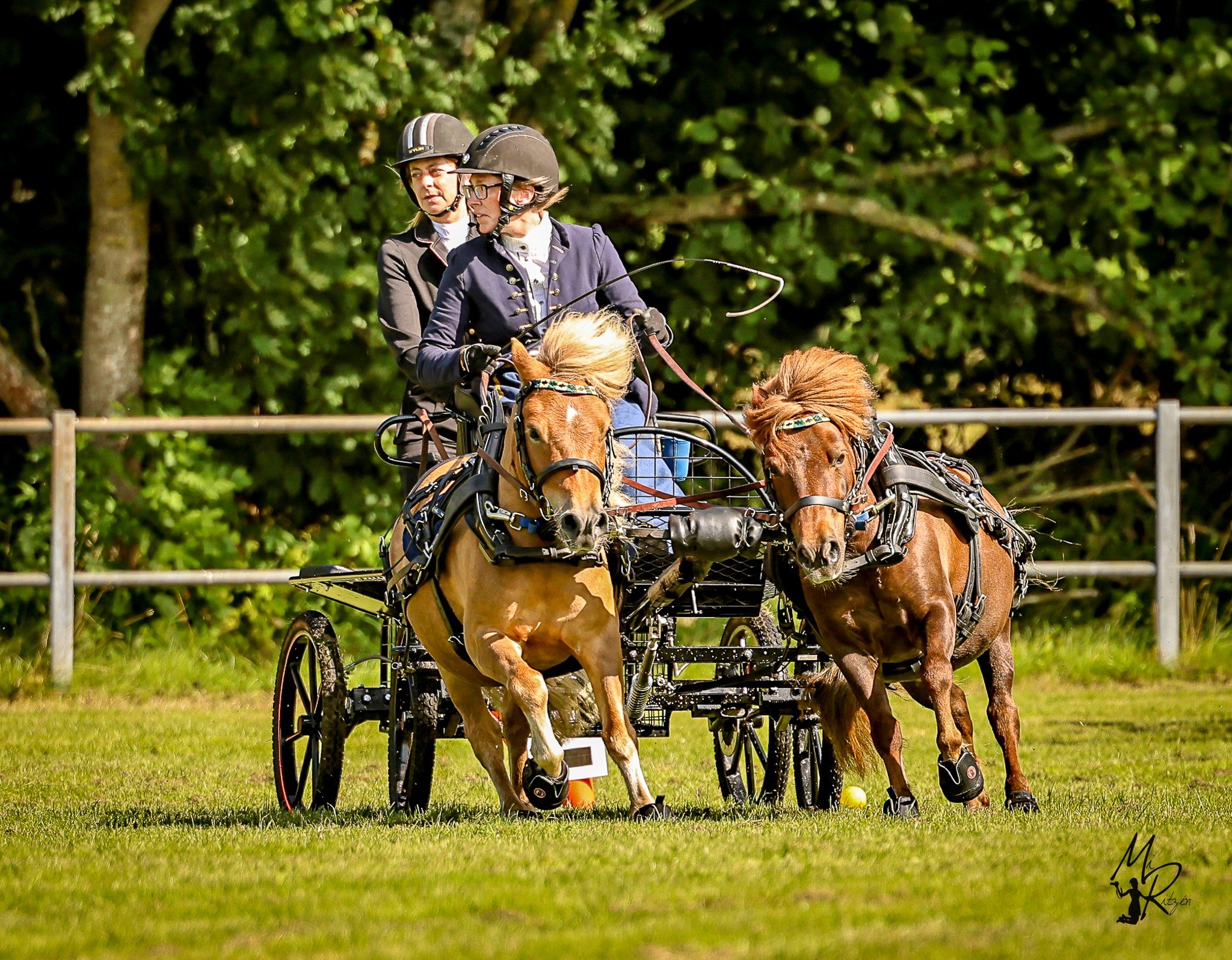 Anna Carlsson med Kålkulla Udo ocg Wonnagårdens Coutry Girl foto Mi_Ritzén.jpg