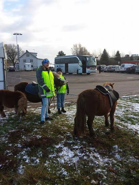 Ponnyridning i Brålanda.jpg